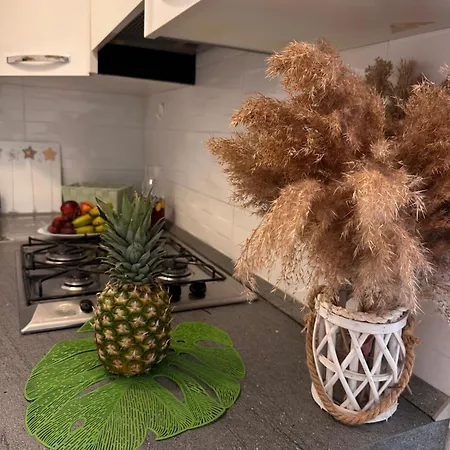 아파트 Residenza Mimosa - In Centro -